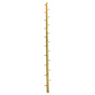 Escalera del loro 3m